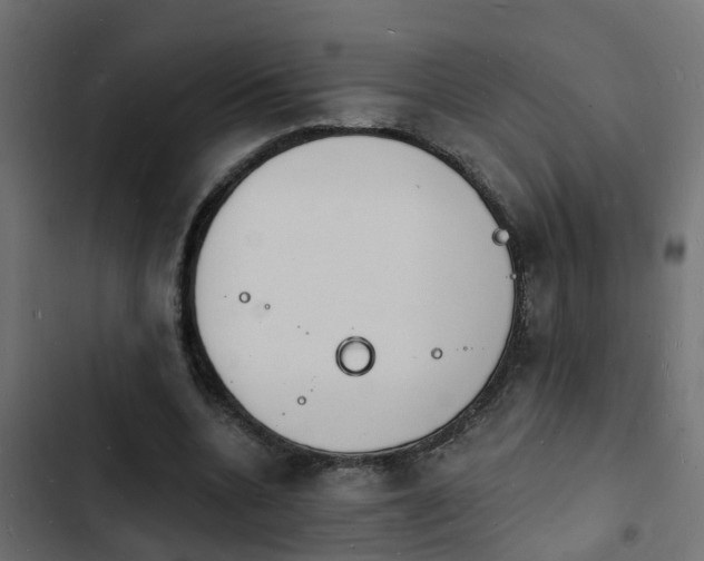 X0000103970536200809261836