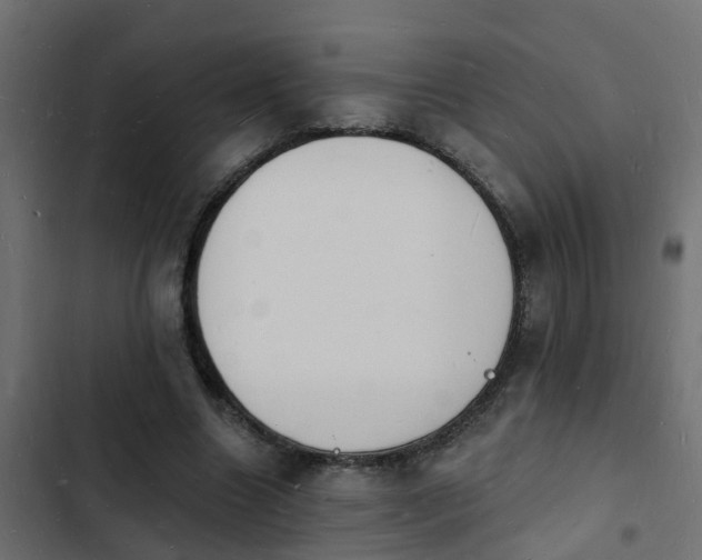 X0000103970538200809261836