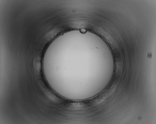 X0000103970541200809261836