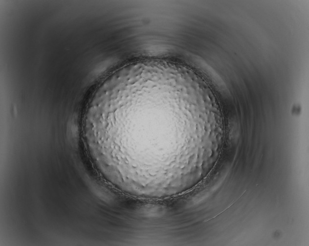 X0000103970542200809261836