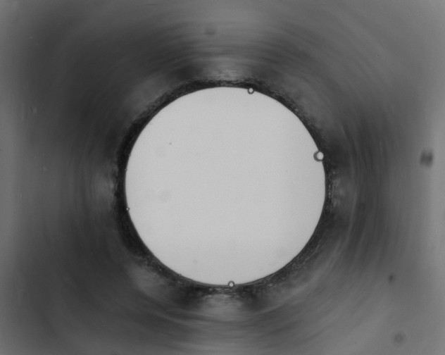 X0000103970544200809261836