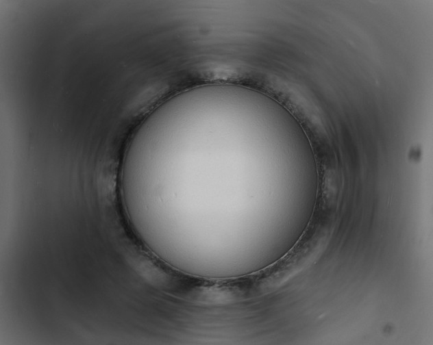 X0000103970545200809261836