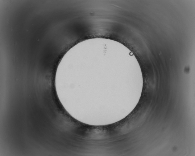 X0000103970546200809261836