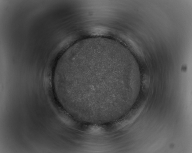 X0000103970547200809261836