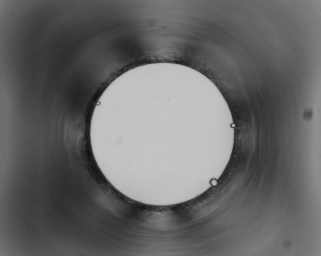 X0000103970548200809261836