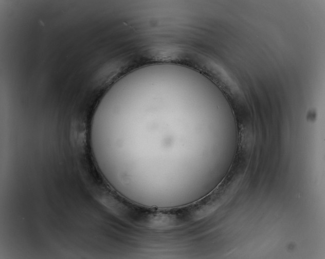 X0000103970549200809261836