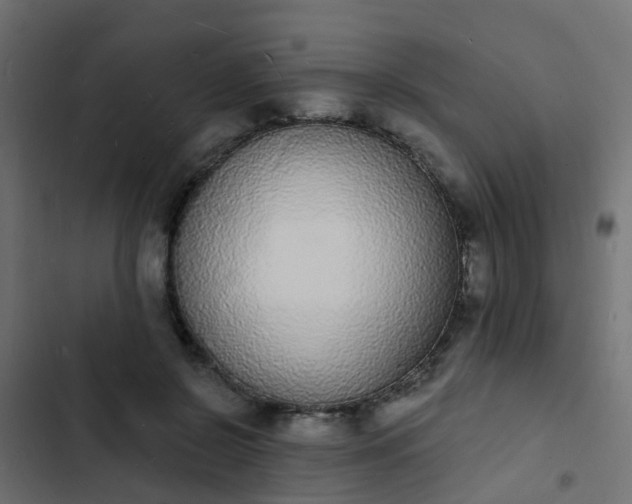 X0000103970550200809261836