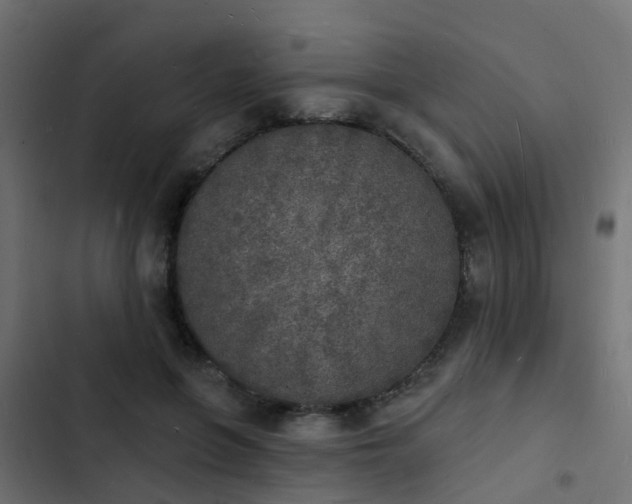 X0000103970551200809261836