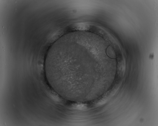 X0000103970553200809261836