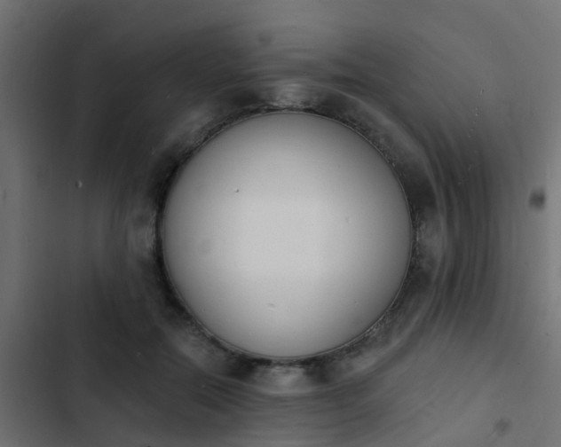 X0000103970554200809261836