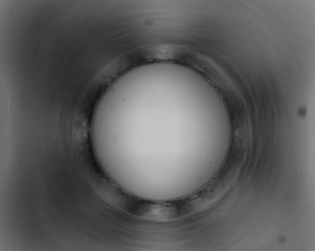 X0000103970555200809261836