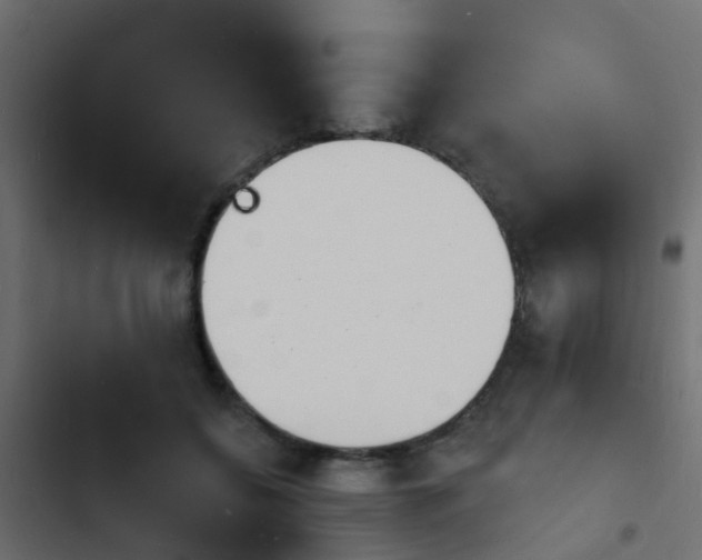 X0000103970556200809261836