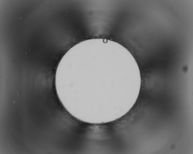 X0000103970558200809261836