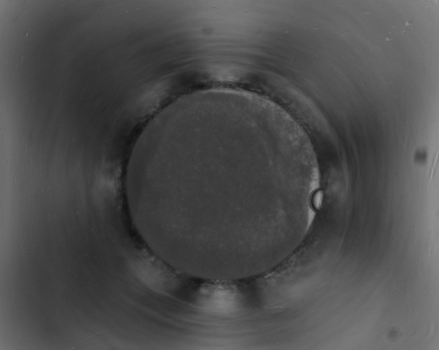 X0000103970559200809261836