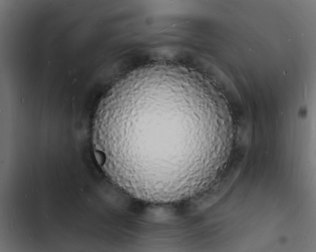 X0000103970561200809261836