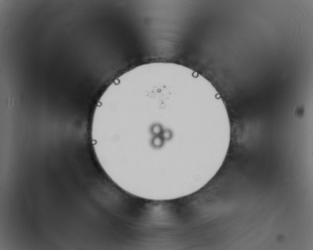 X0000103970564200809261836