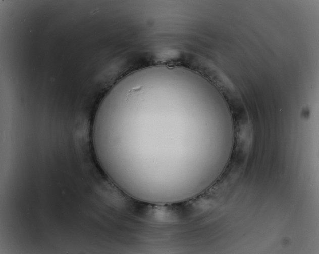 X0000103970565200809261836