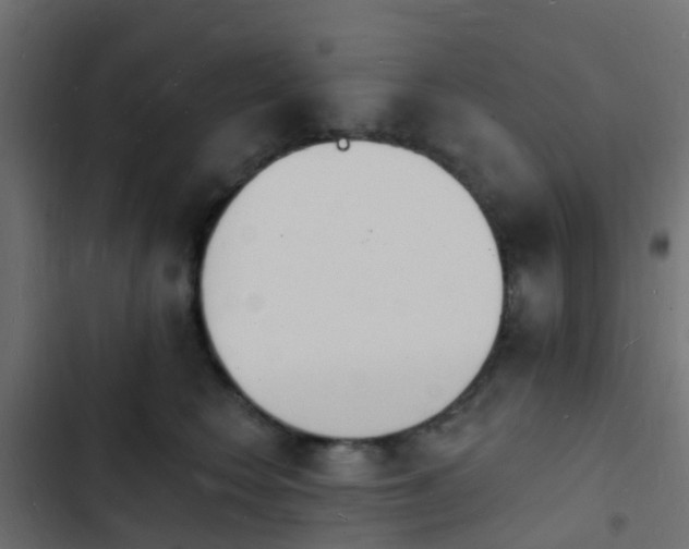 X0000103970566200809261836