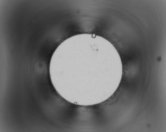 X0000103970568200809261836