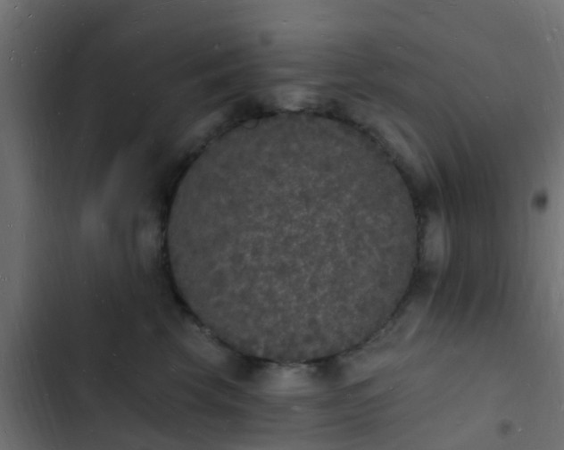 X0000103970569200809261836