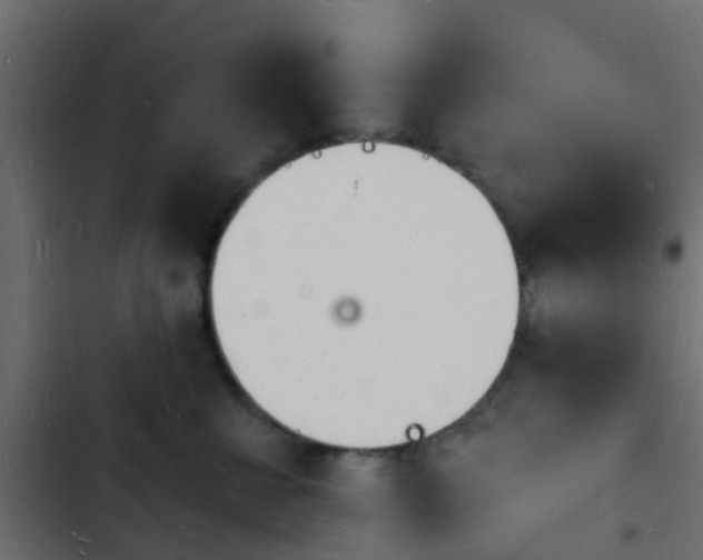 X0000103970570200809261836