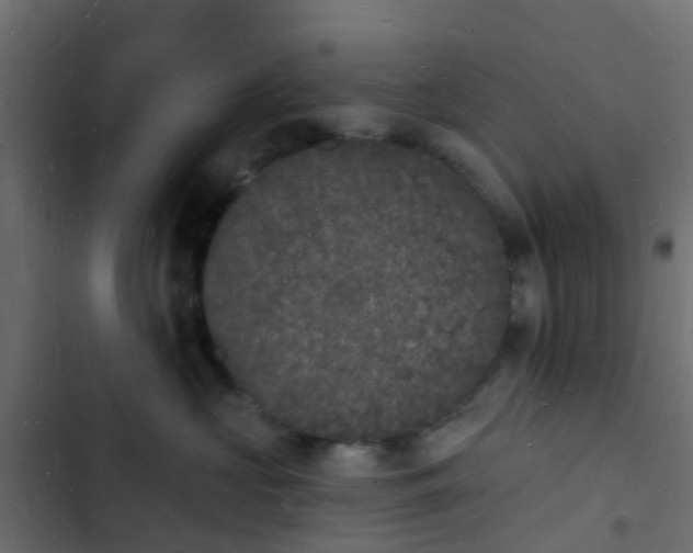 X0000103970573200809261836