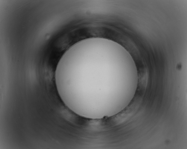 X0000103970574200809261836