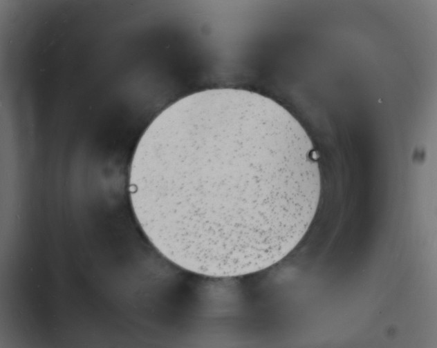 X0000103970576200809261837