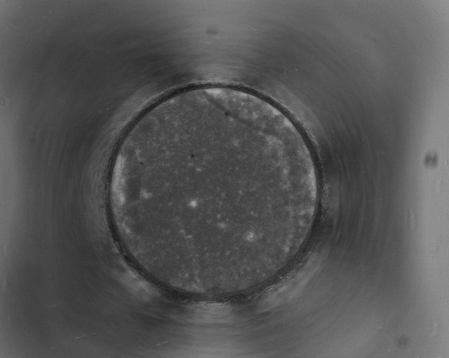 X0000103970577200809261836