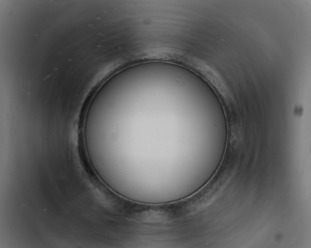 X0000103970578200809261836