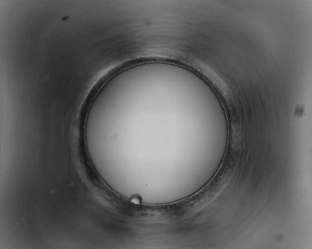 X0000103970580200809261836