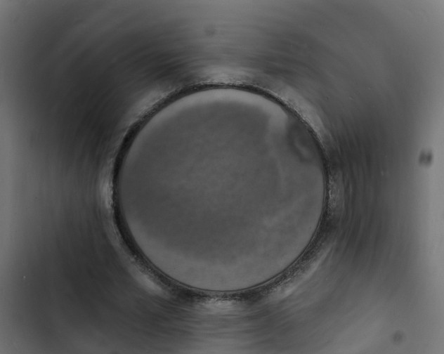 X0000103970581200809261836