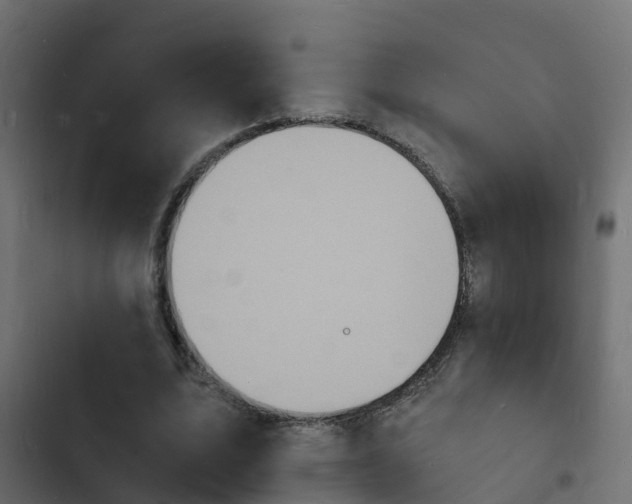 X0000103970583200809261836