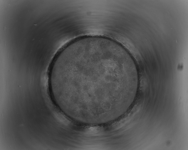 X0000103970584200809261836