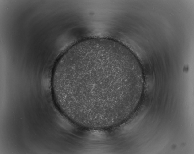 X0000103970585200809261836