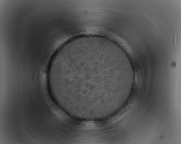 X0000103970588200809261836