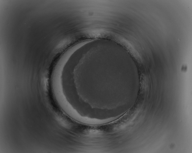 X0000103970590200809261836