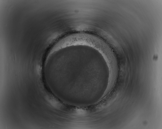 X0000103970592200809261836