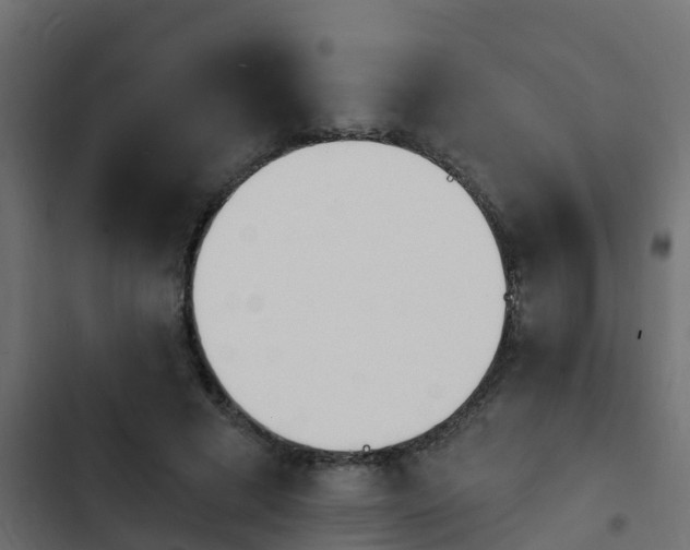 X0000103970593200809261836