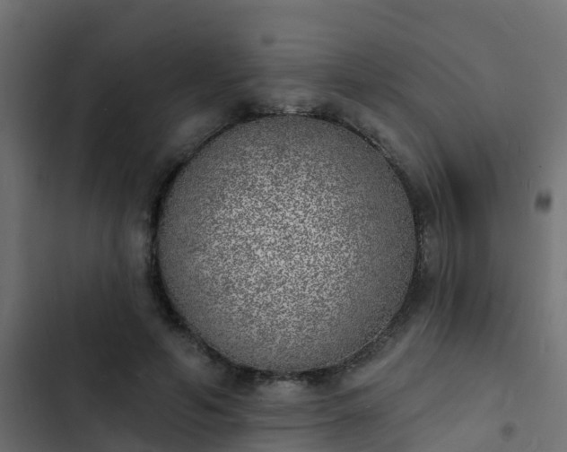 X0000103970594200809261836