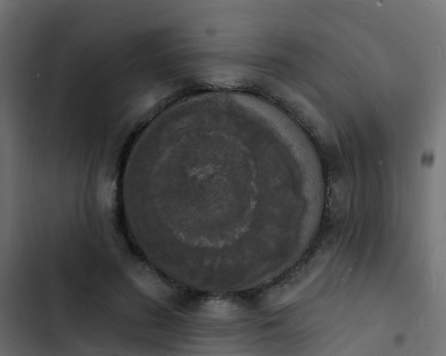 X0000103970596200809261836