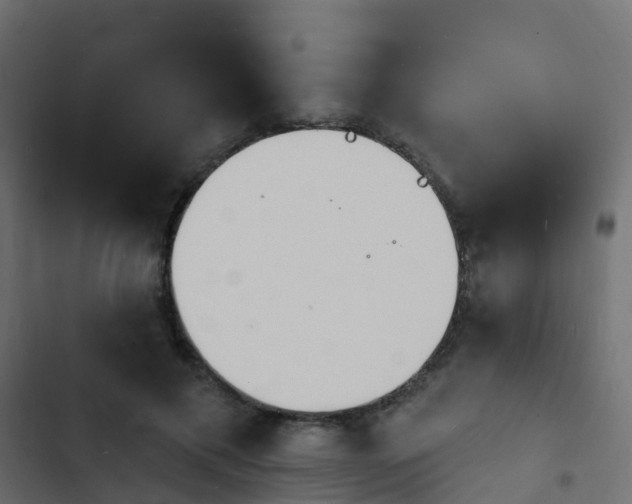 X0000103970597200809261836