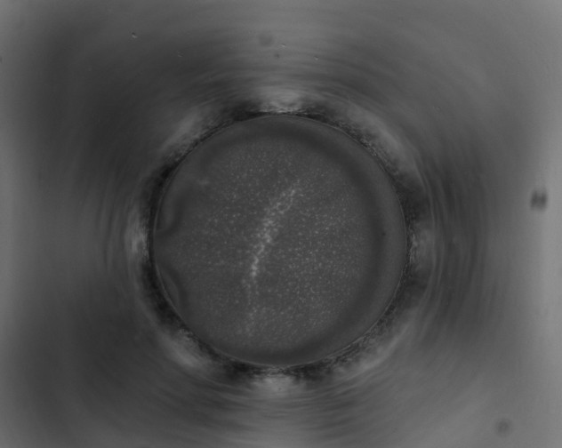 X0000103970598200809261836