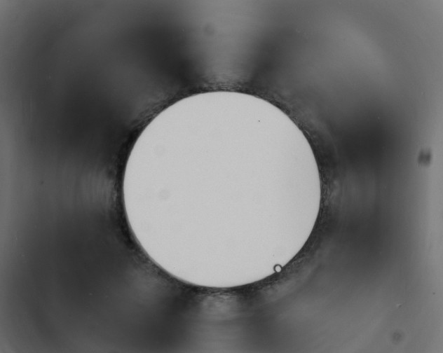 X0000103970599200809261836