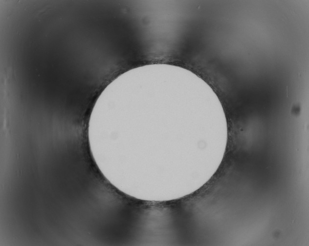 X0000103970601200809261836