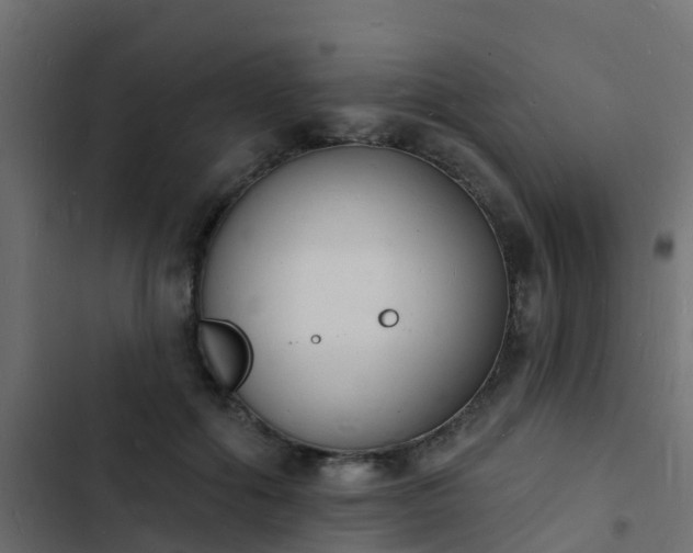 X0000103970602200809261835