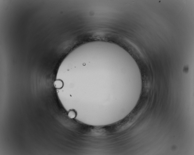 X0000103970603200809261835