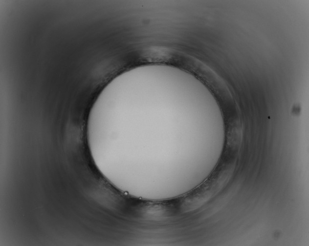 X0000103970604200809261835