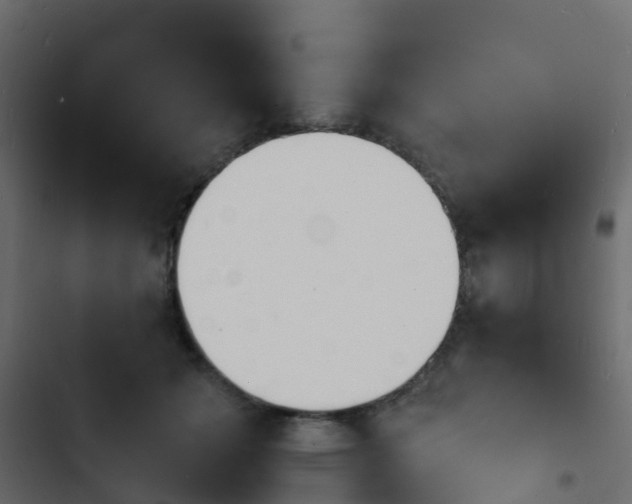 X0000103970605200809261835