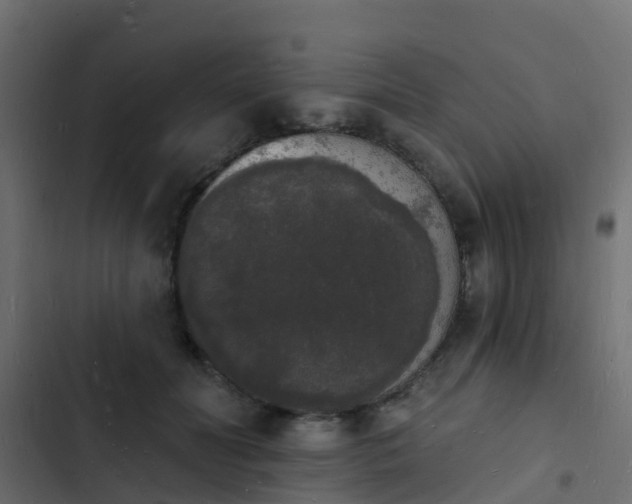 X0000103970606200809261835